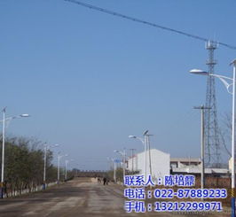 點亮鄉村夜空 天津恒利達路燈廠新農村太陽能路燈批發詳解